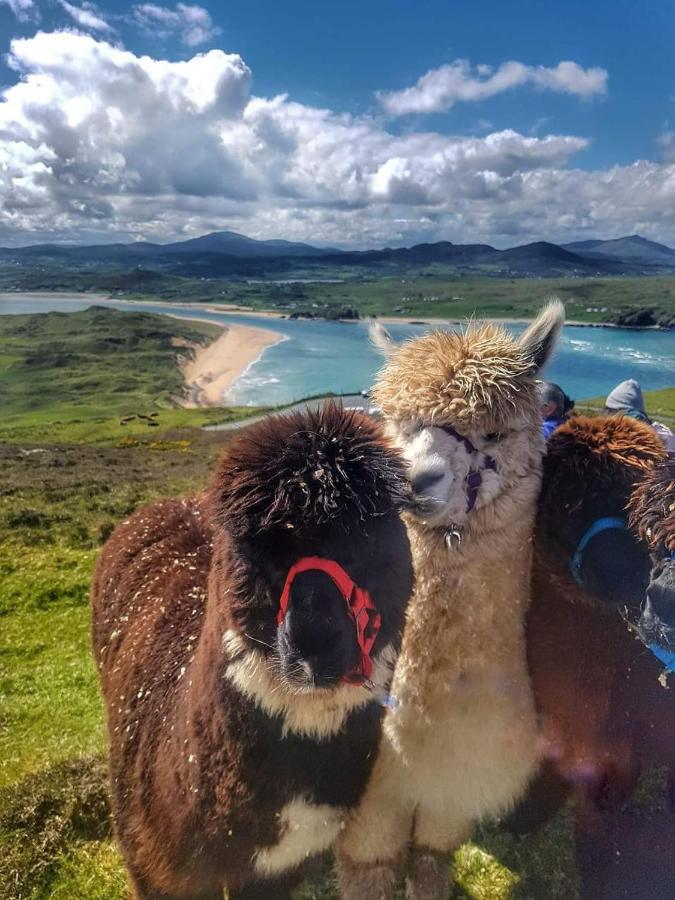 Отель Biddy Ban'S Carnmalin Экстерьер фото